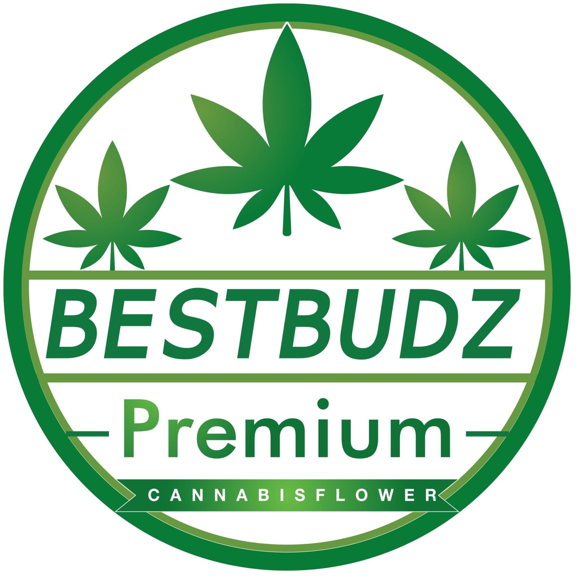 Каннабис-социальный клуб BestBudz.th логотип