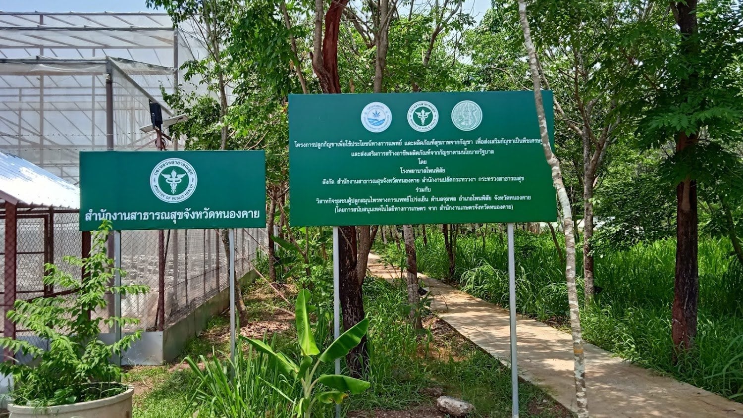 Cannabis Station