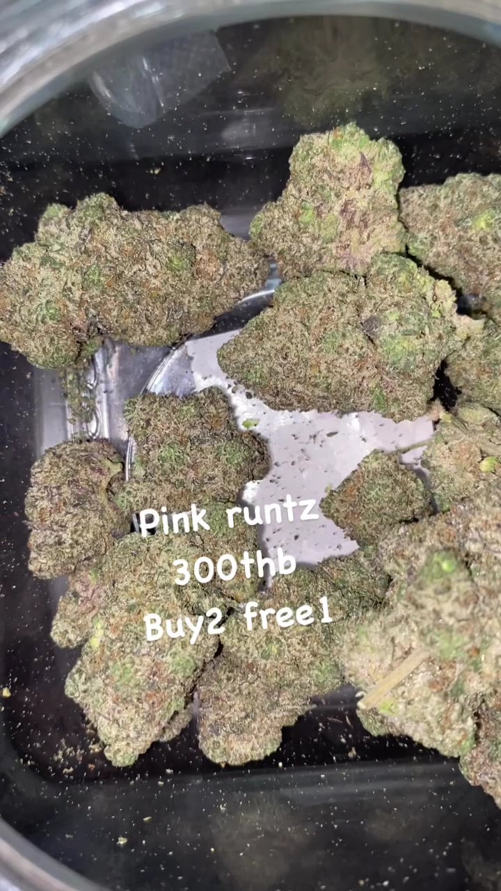 Greenbandicoot Weed