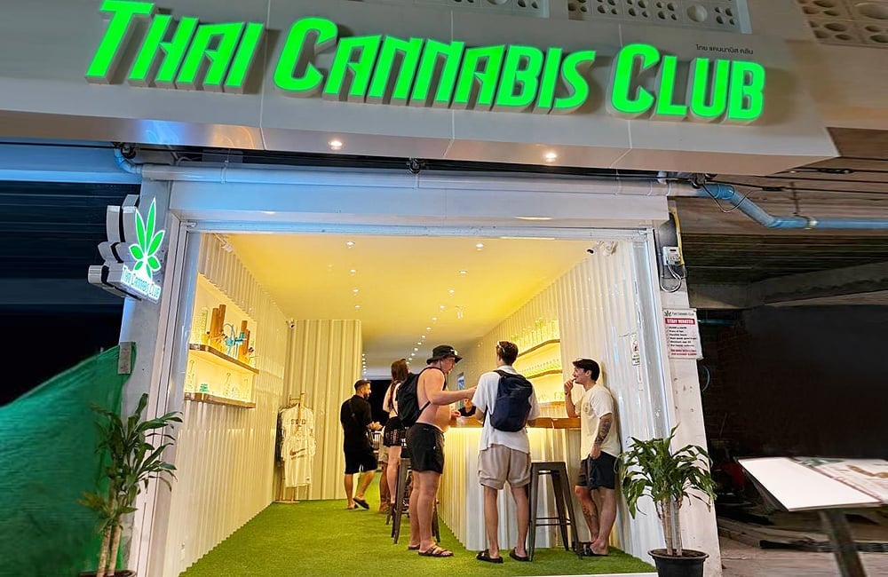 Phiphi Cannabis3