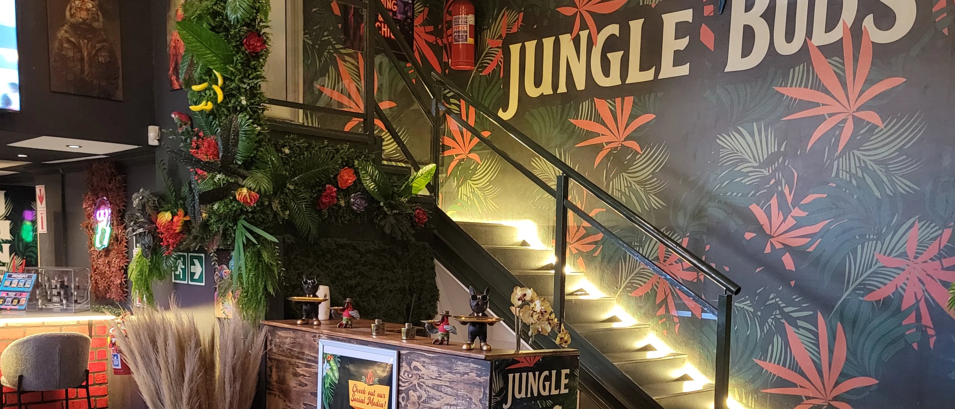 Jungle Buds hero