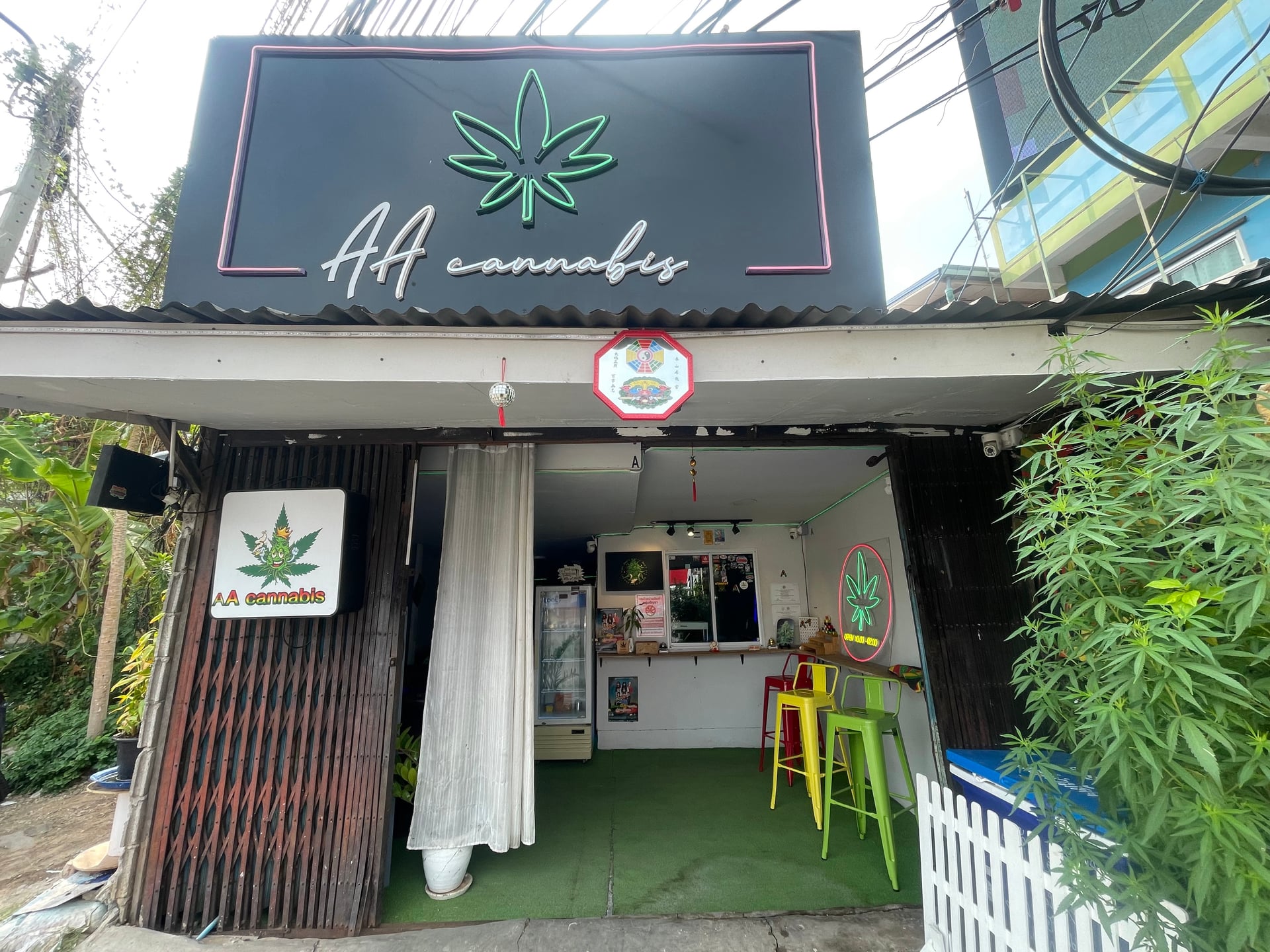 AA Cannabis