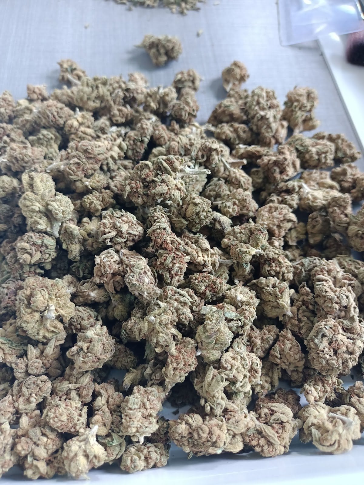 Gf.weed