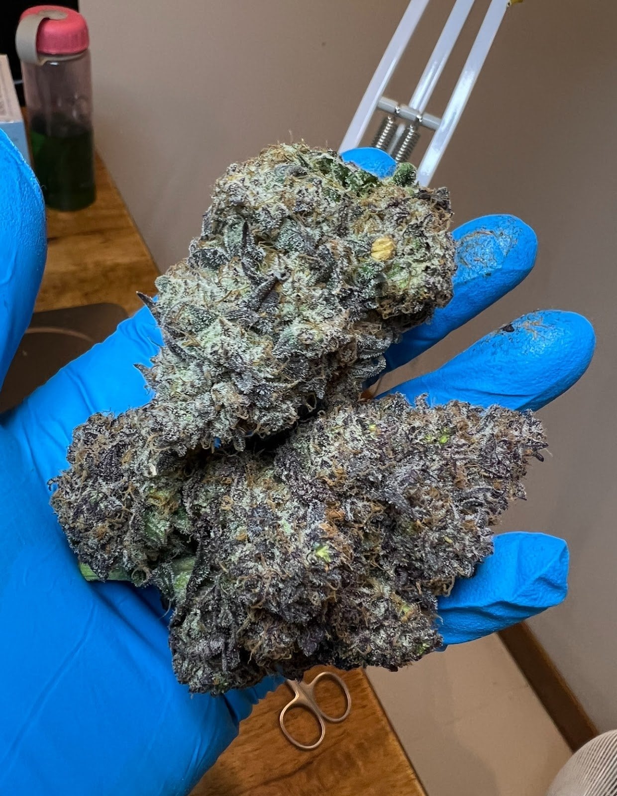 The God Flower