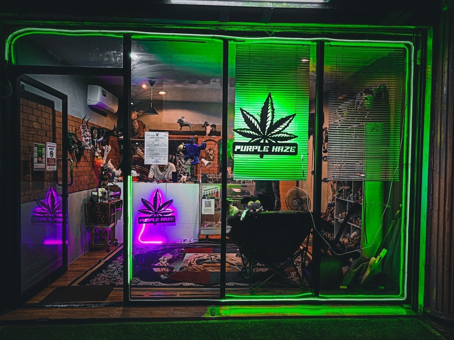 Purple Haze TH