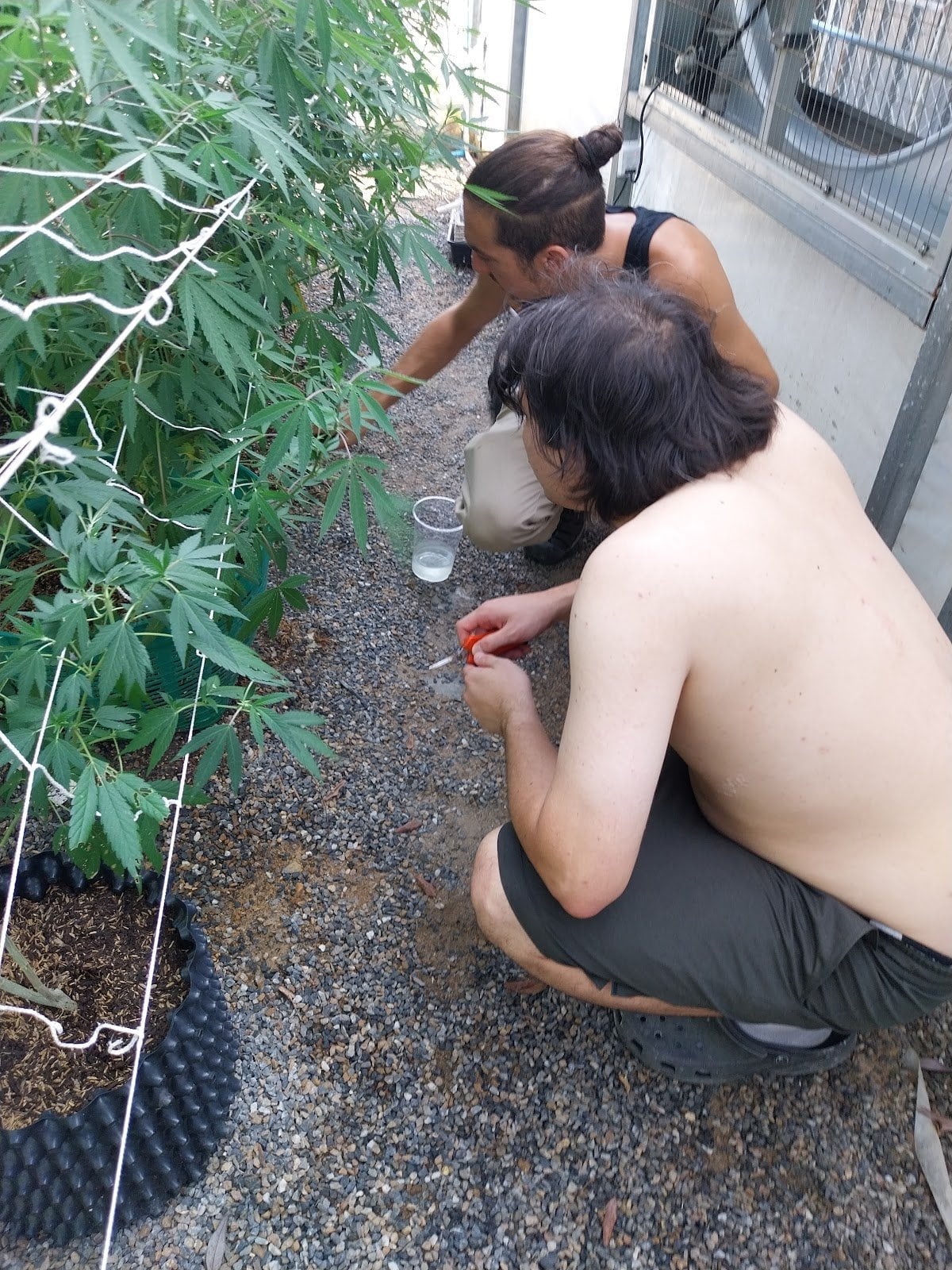 Growers Without Borders CNX