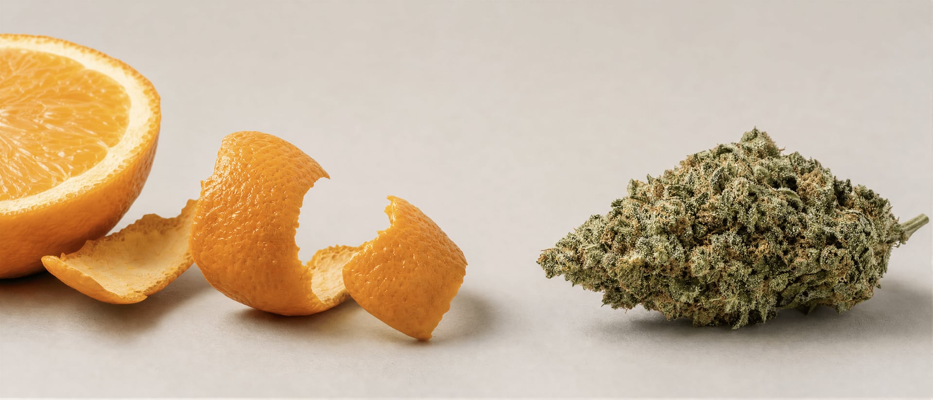 Valencene Terpene: Cannabis Aroma, Effects, Evidence
