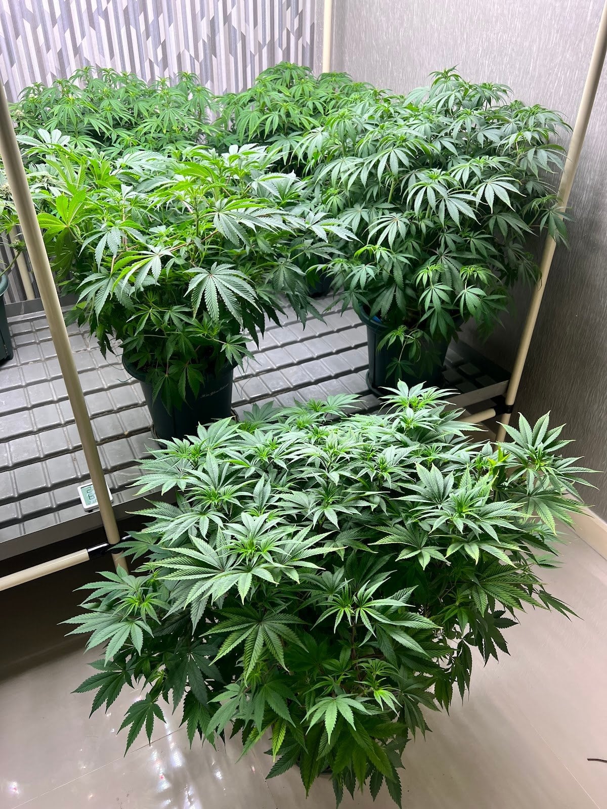 Bud Station By Huntsman Farm