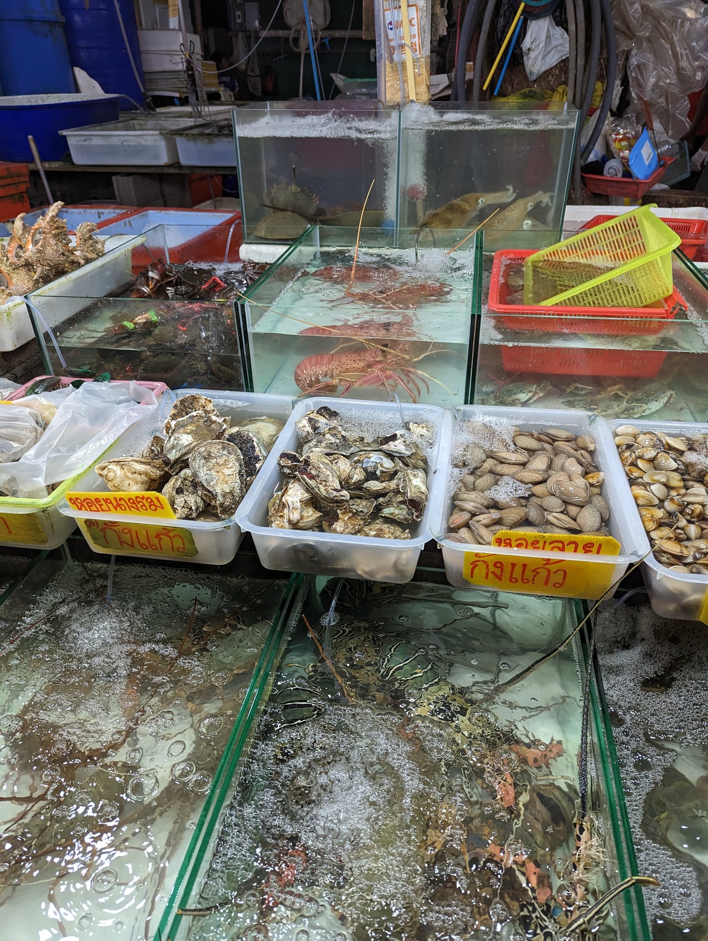 Phuket High - Rawai Seafood Market