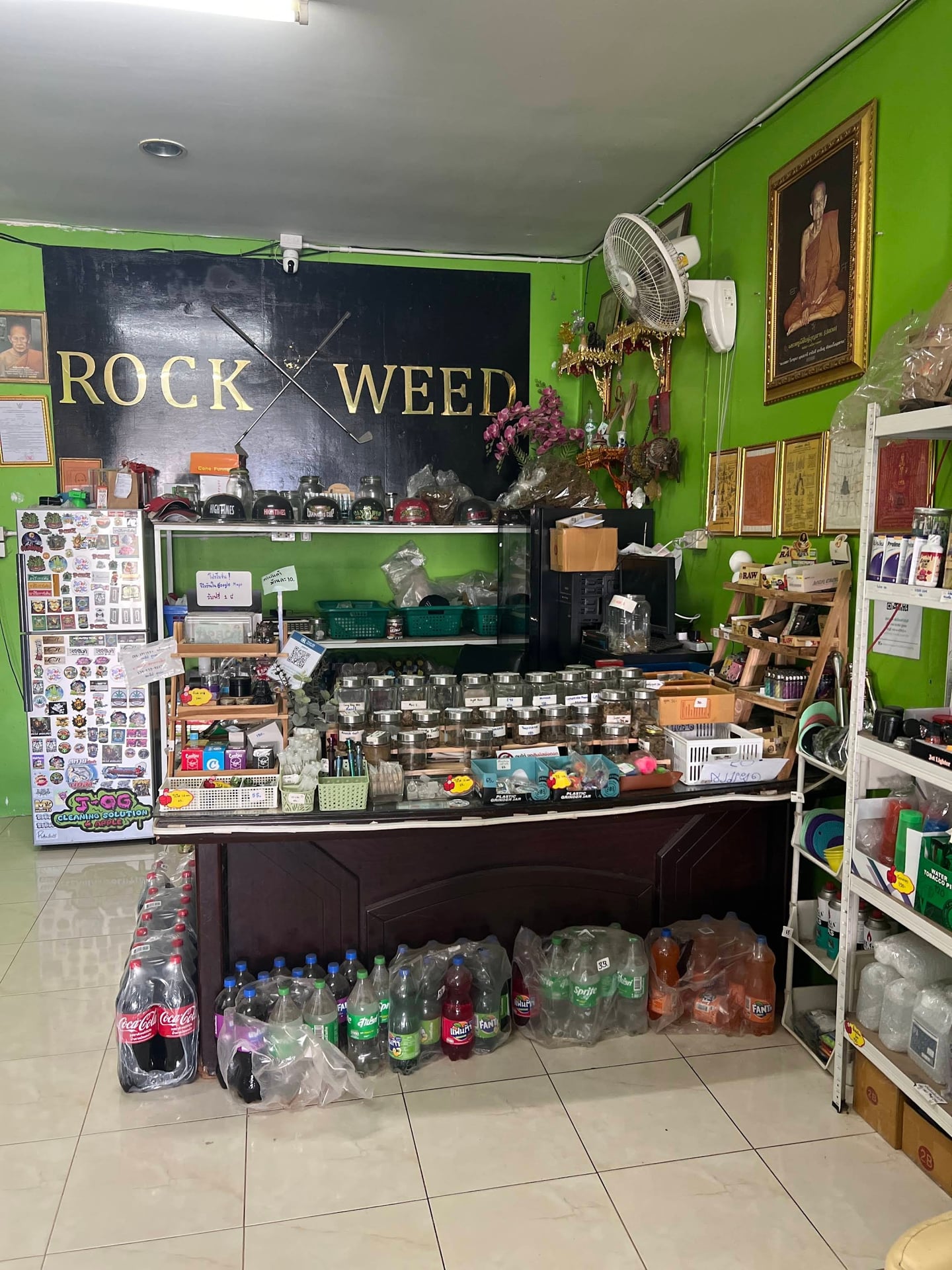 Rockweed Cannabis Shop Songkhla