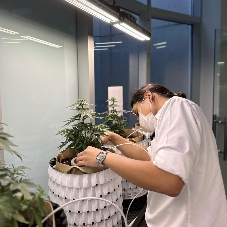 The Dispensary Sukhumvit