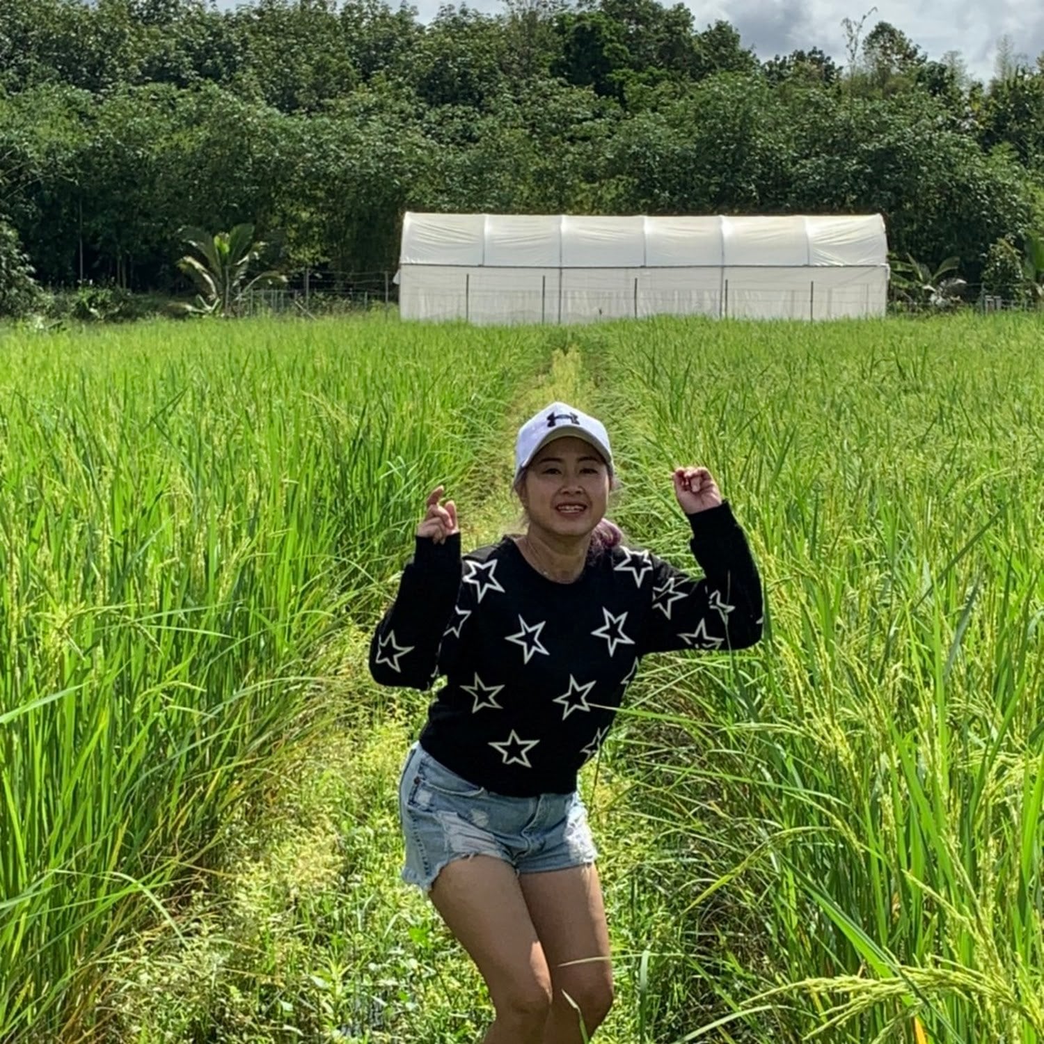 Cannabis Sa Kaeo Farm