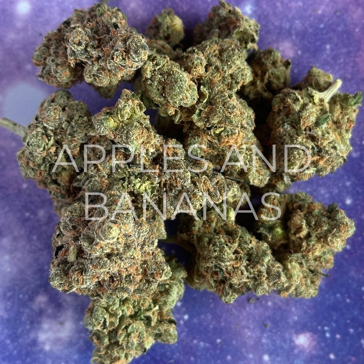 Stock Smoke & Pappahapa Wichit