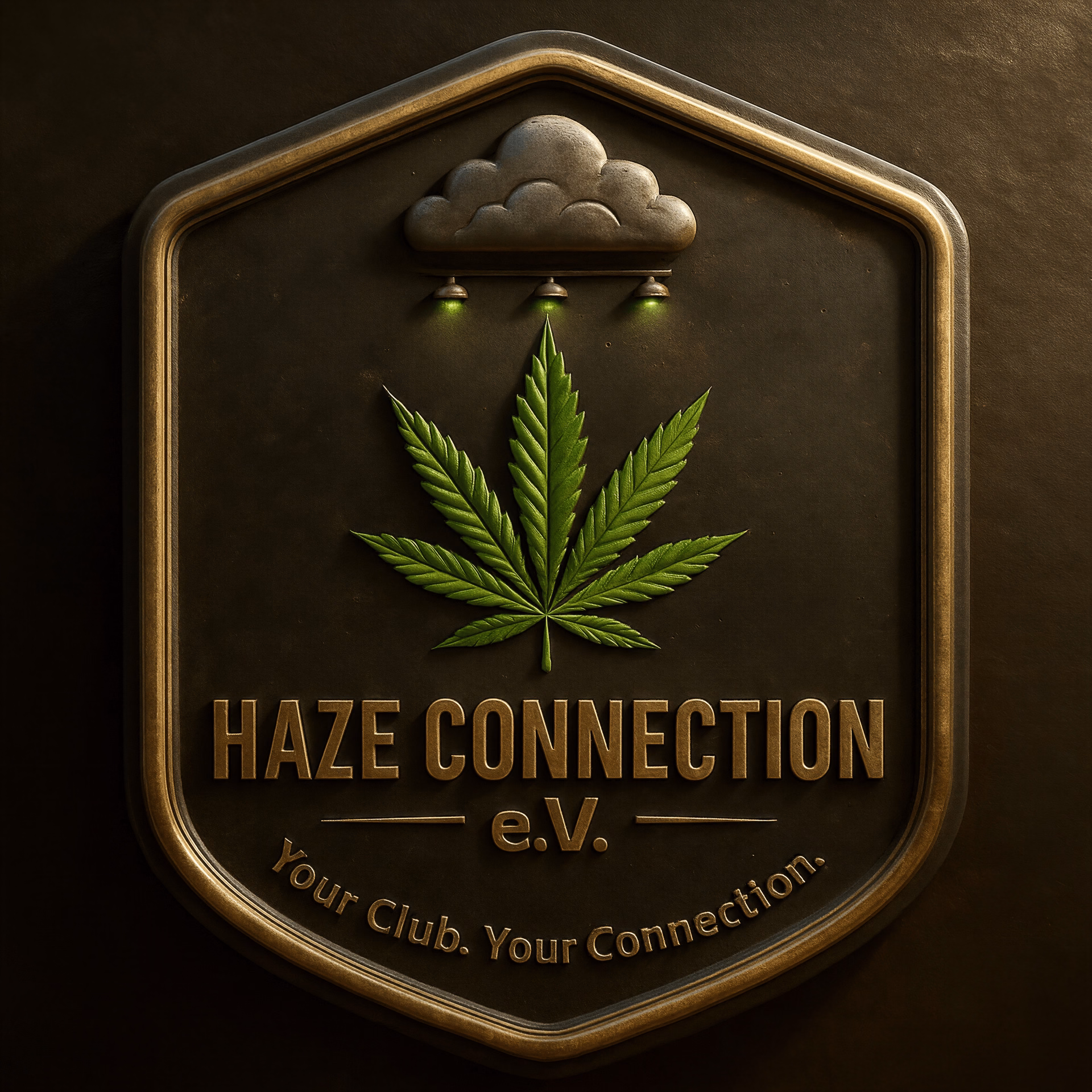 Haze Connection e.V logo