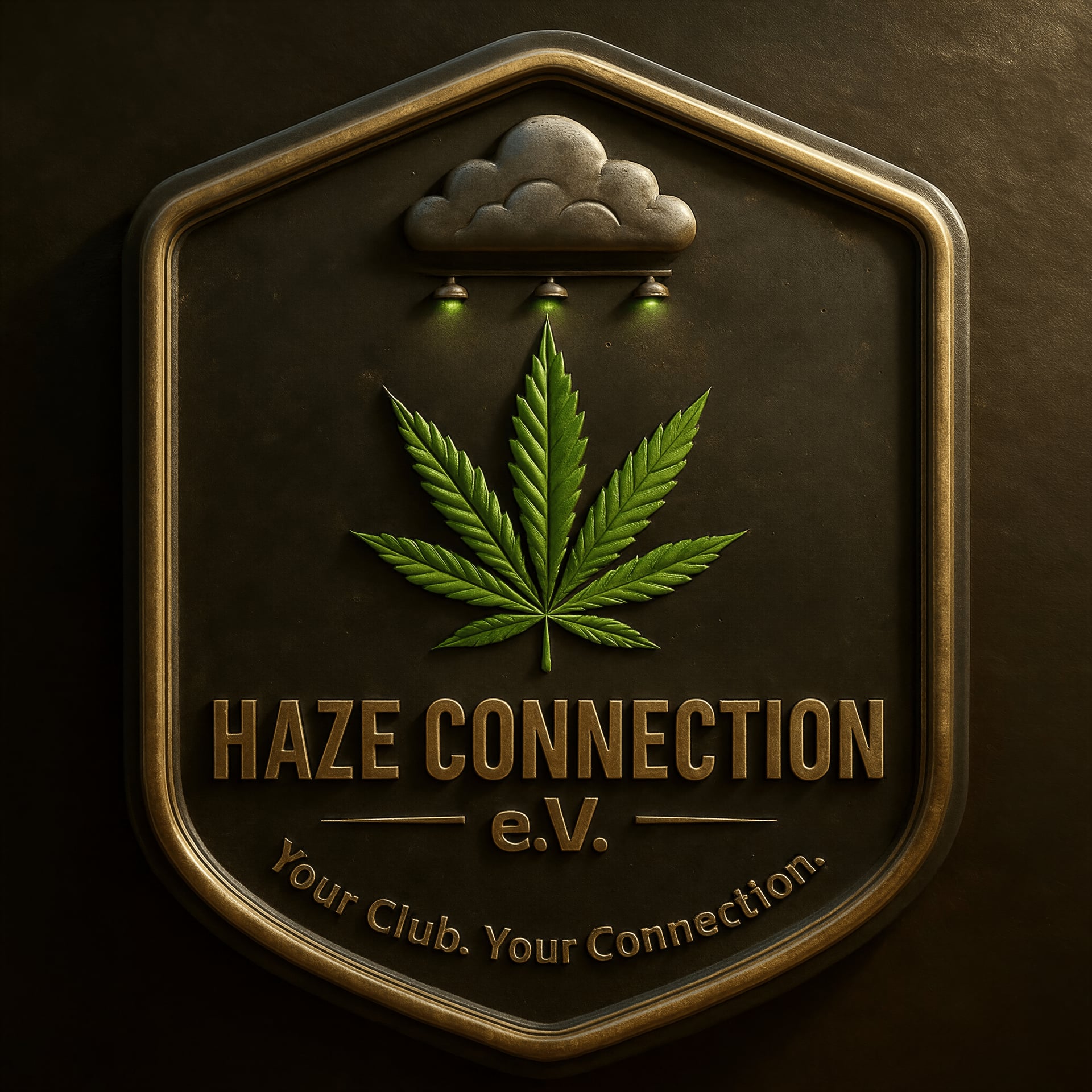 Haze Connection e.V logo