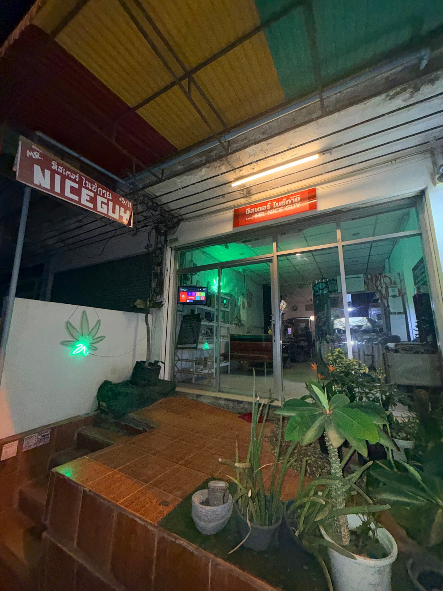 Green Elephant
