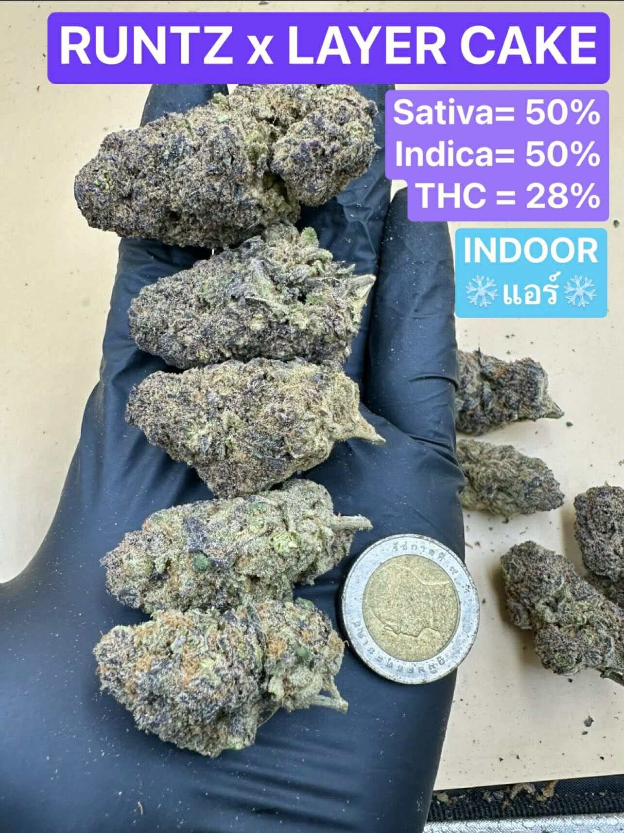 Bio420lab