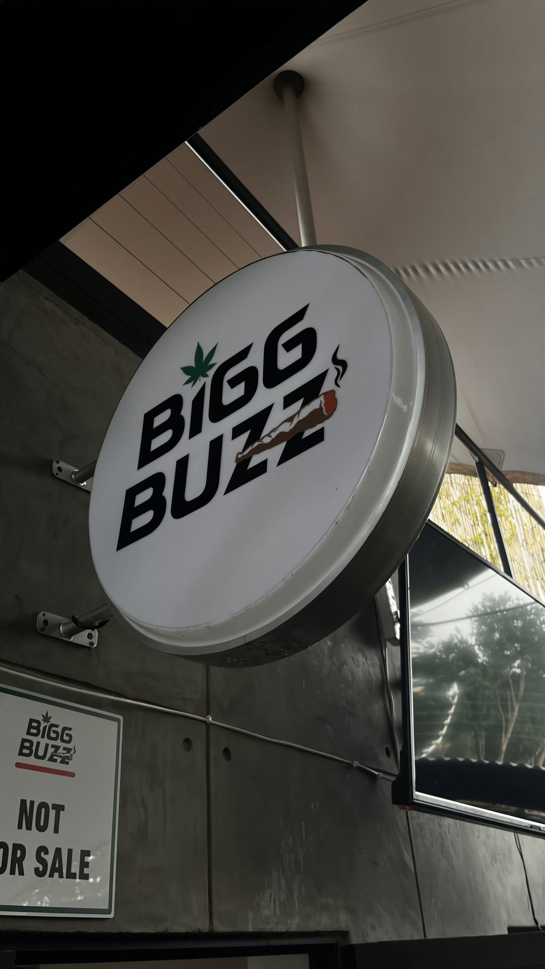 Bigg Buzz