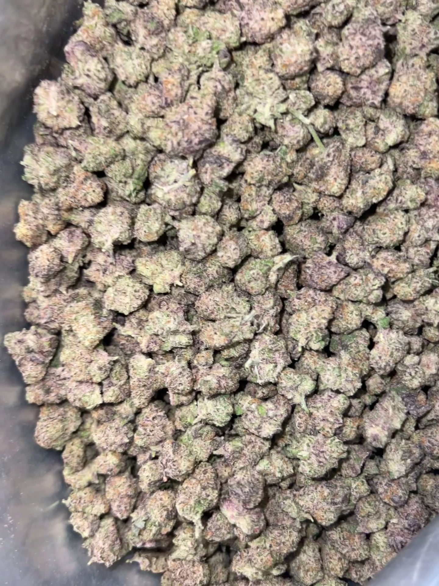 F1qp Cannabis