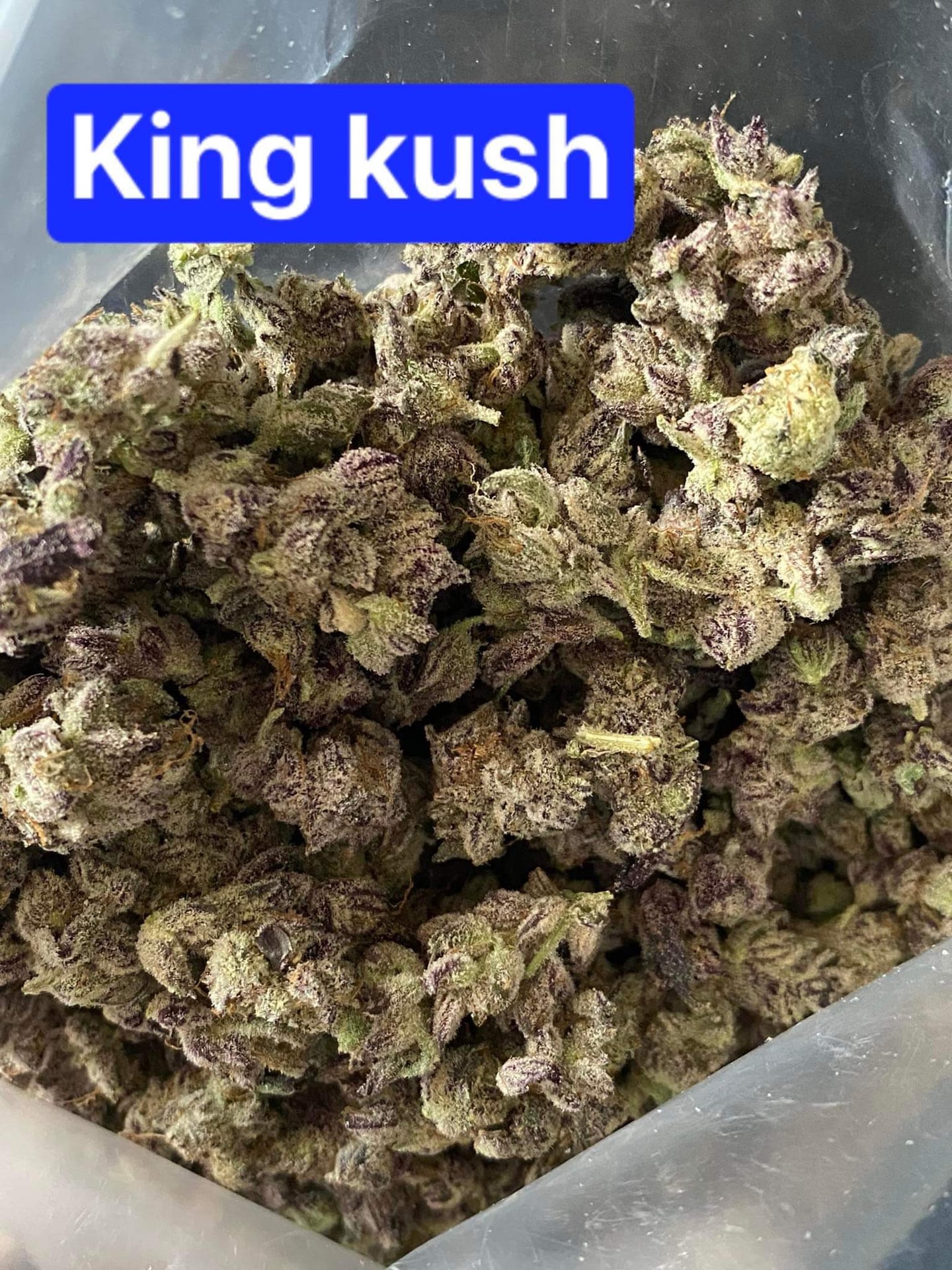 Jack Herer Salok Bat