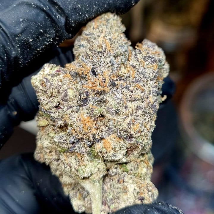 Munchies Cannabis Store & Lamai Beach Delivery