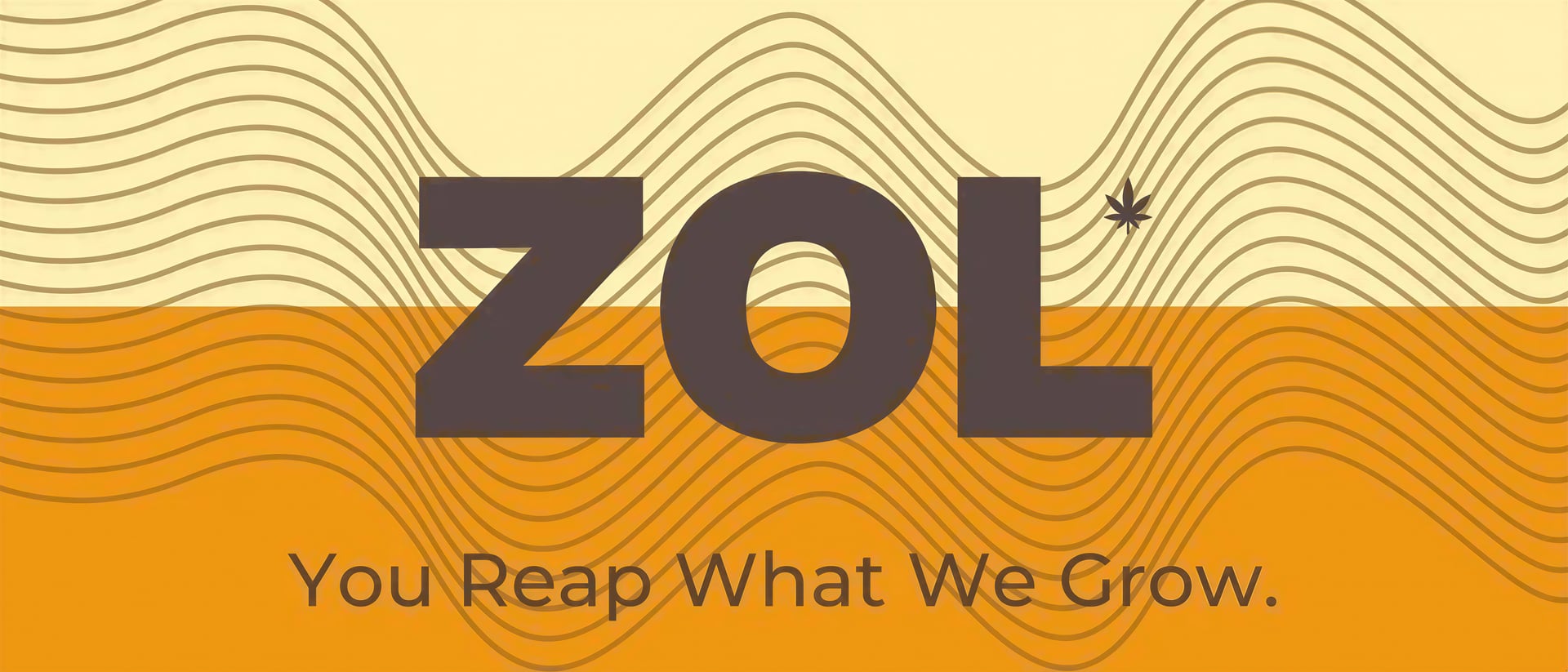 The Zol Club hero