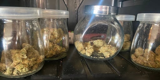 GURU 420