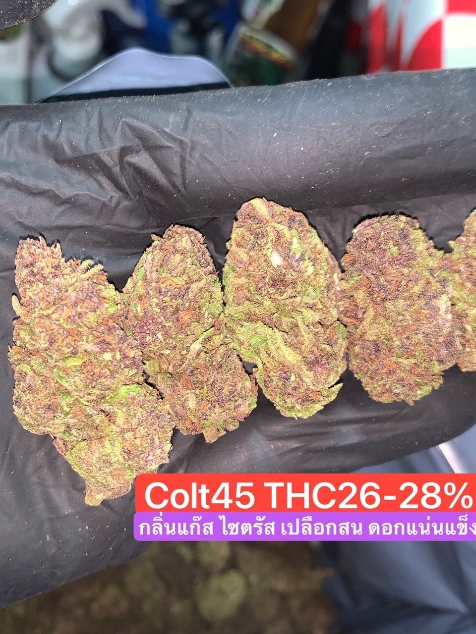 Bombaejuraju.cannabis