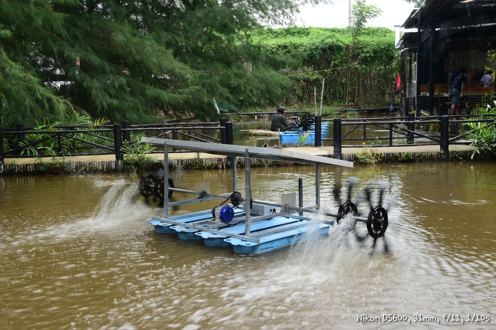 Blue Buds Khlong Sam Wa