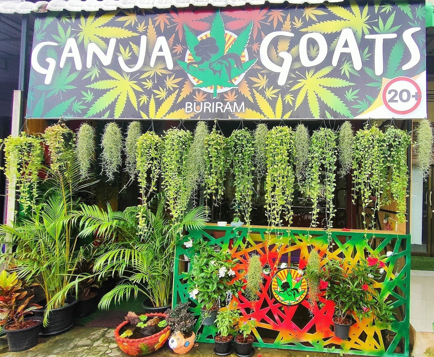 Ganja Goats - Buriram - Cannabis And Kratom