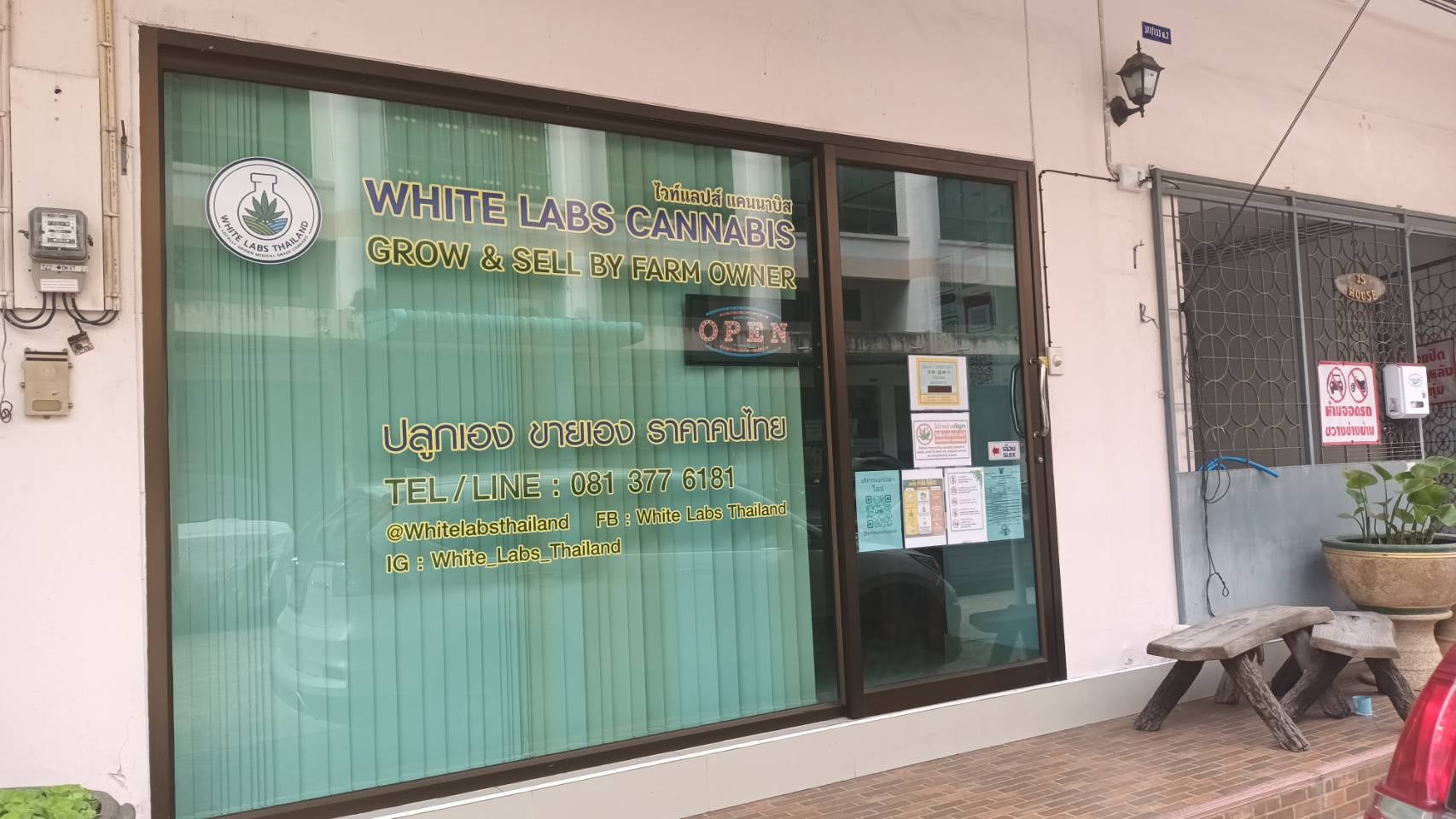 White Labs Cannabis Sriracha Chonburi Indoor Farm Direct