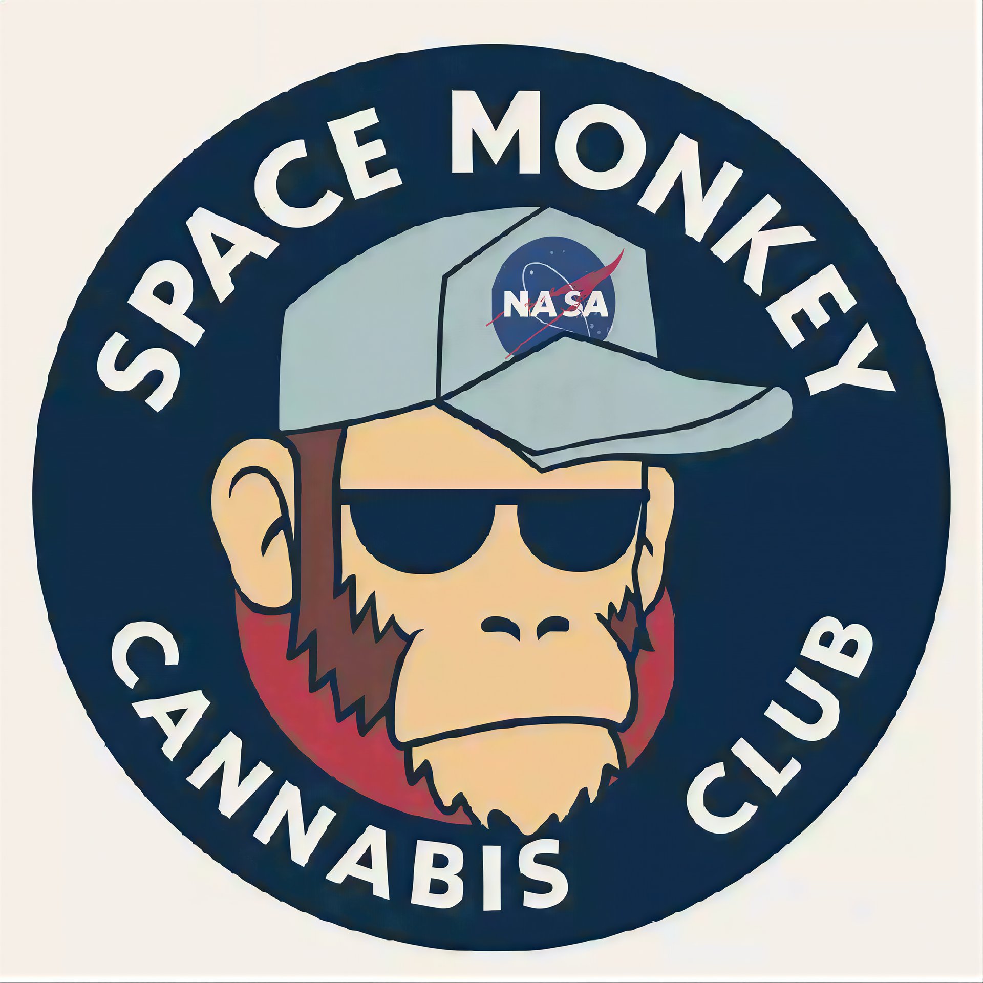 Space Monkey logo
