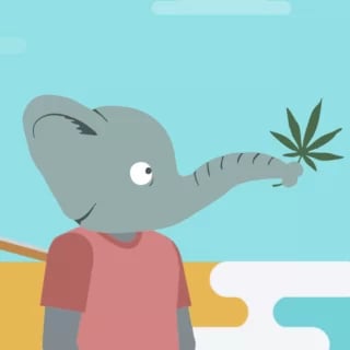 Lion Rolling Circus