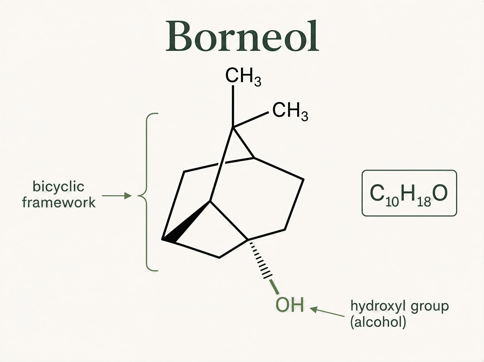 A borneol terpén a cannabisban: bizonyítékok és hatások