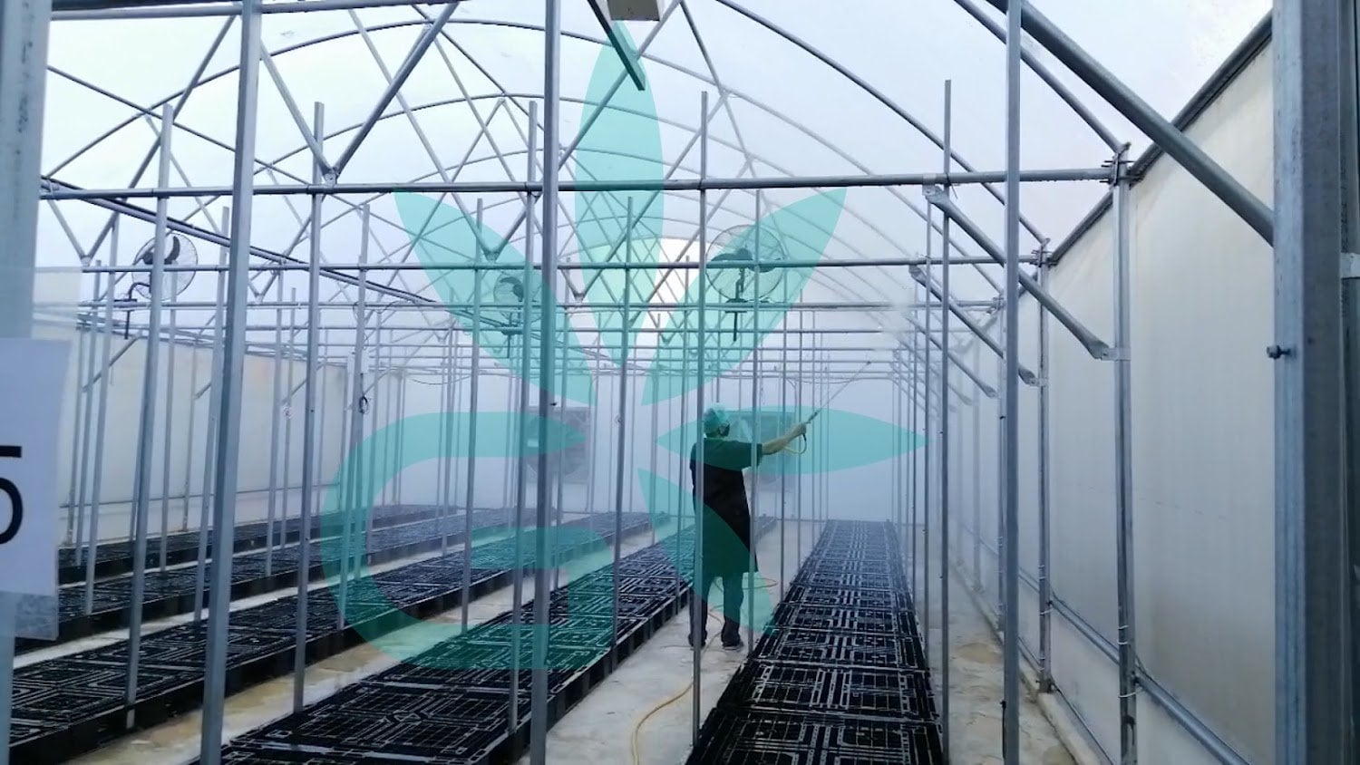 Thcg Holding