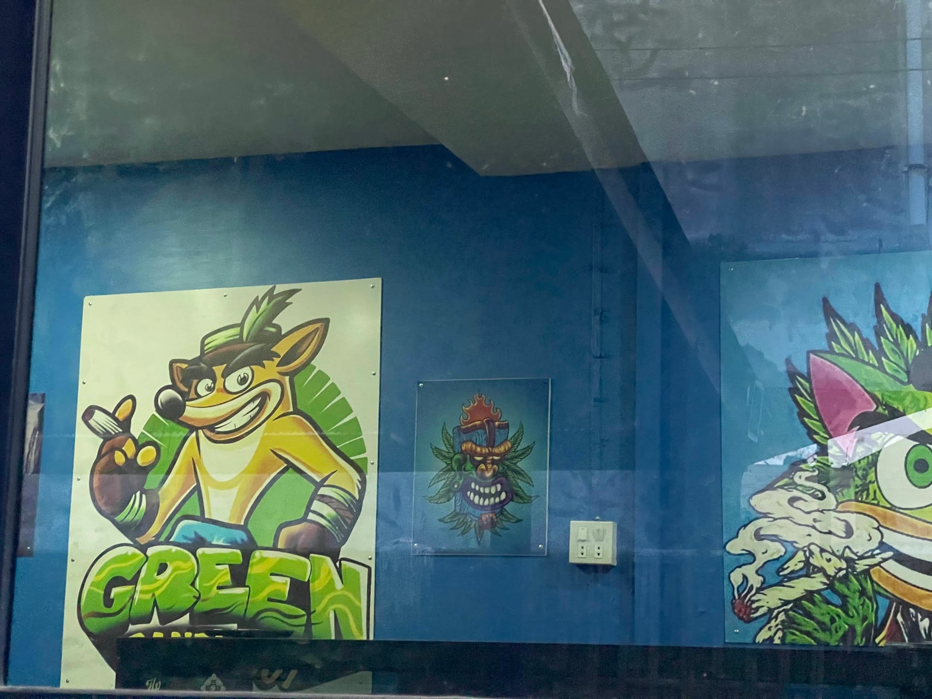 Greenbandicoot Weed