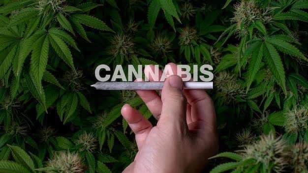 Extra Cannabis