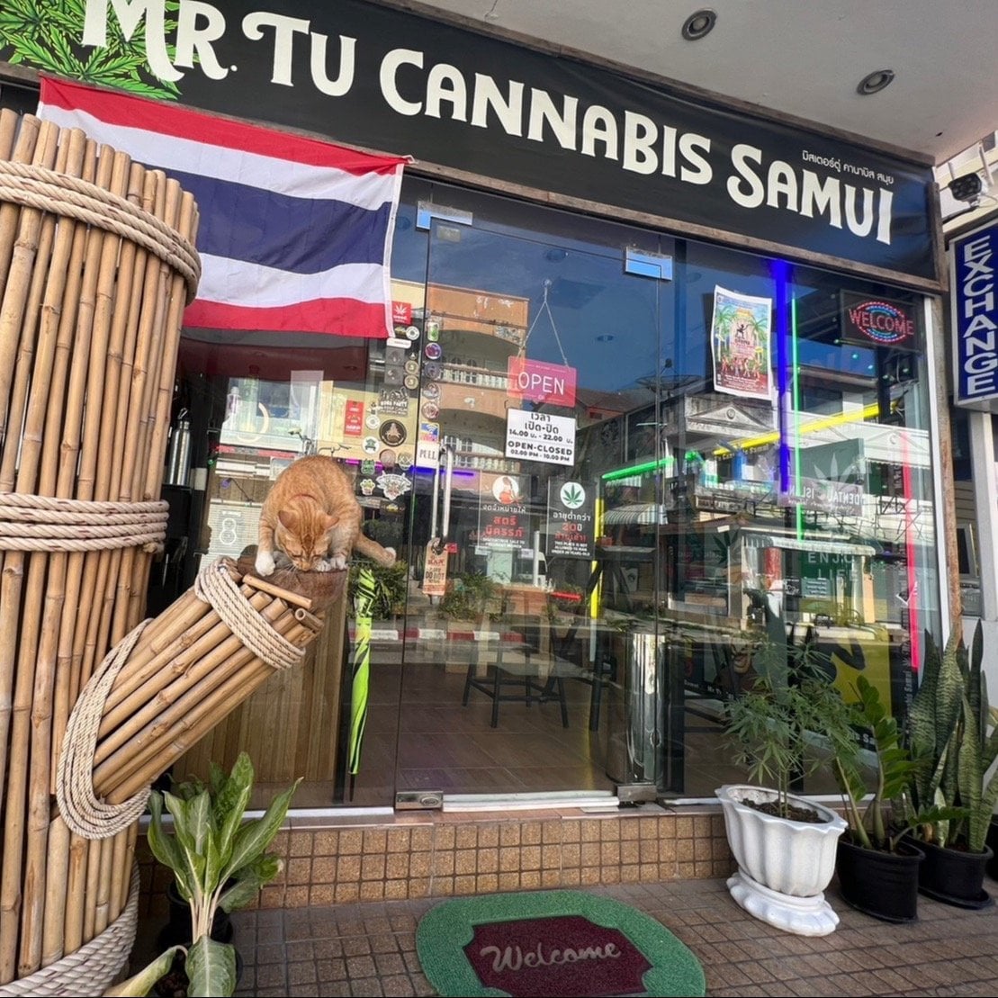 Mr.Tu Cannabis Samui