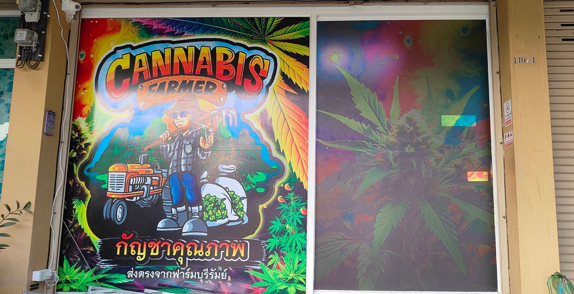 CannabisFarmer Mahasarakham