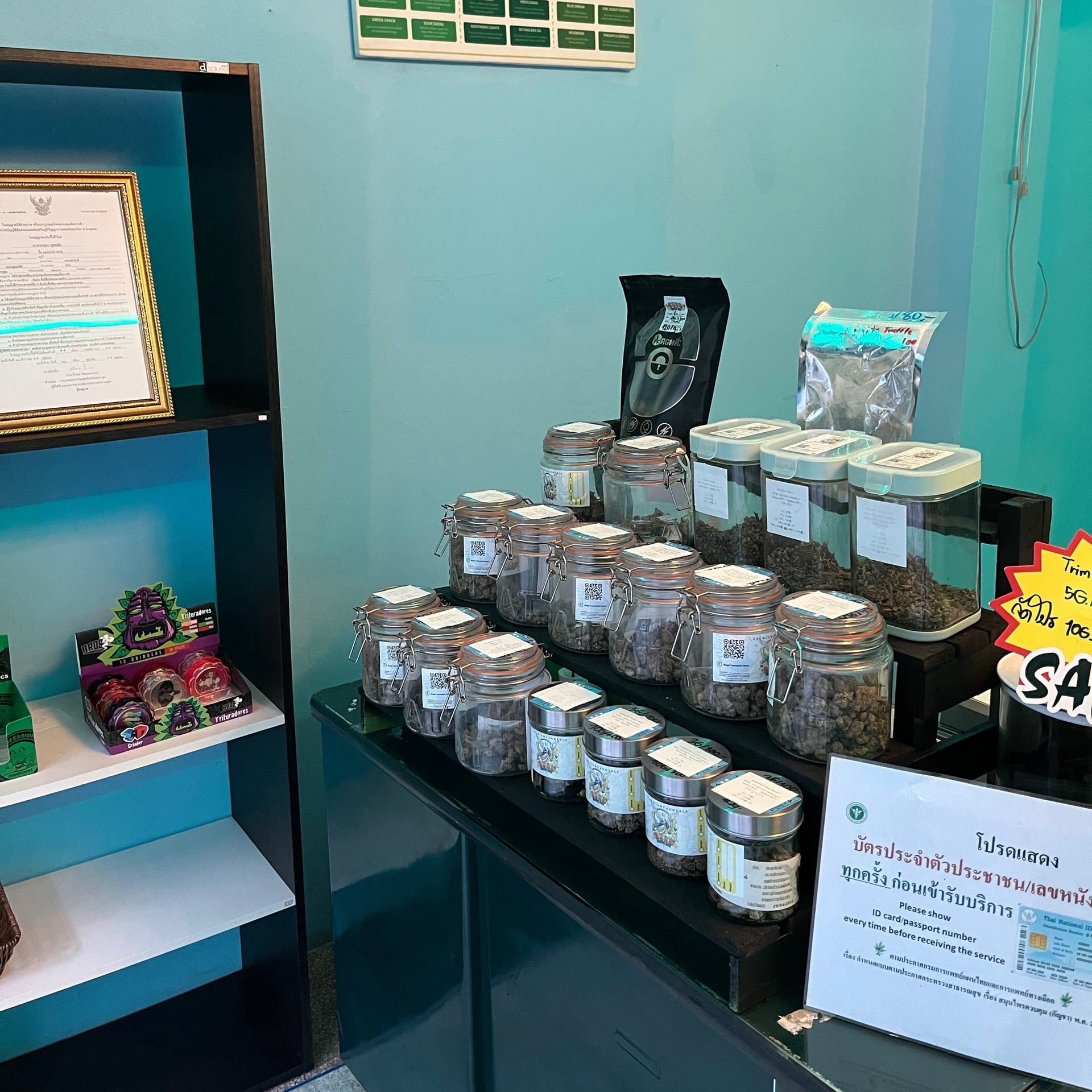 Bugs Cannabis Farm