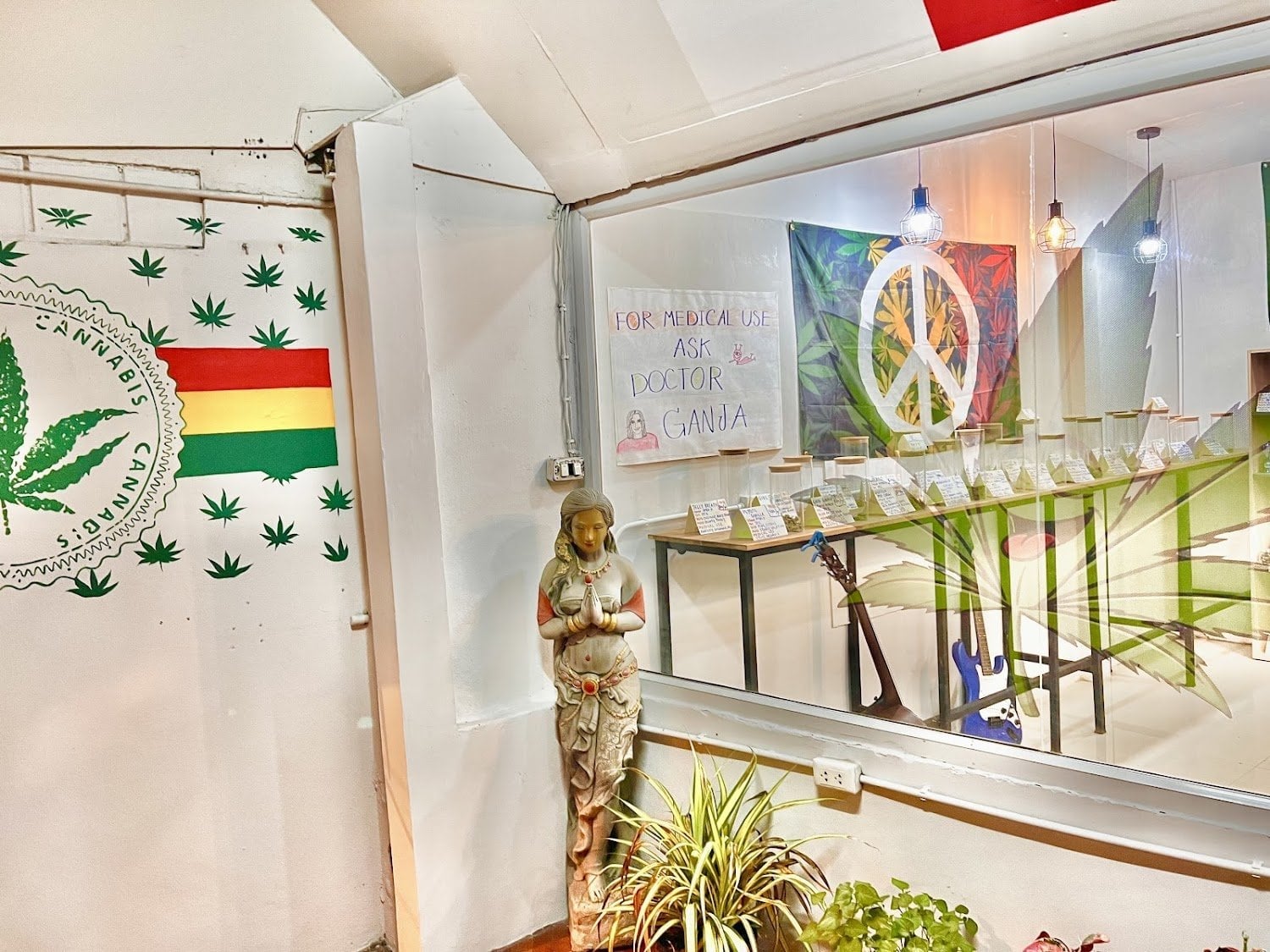 Weed Amsterdam Cafe Catnabis