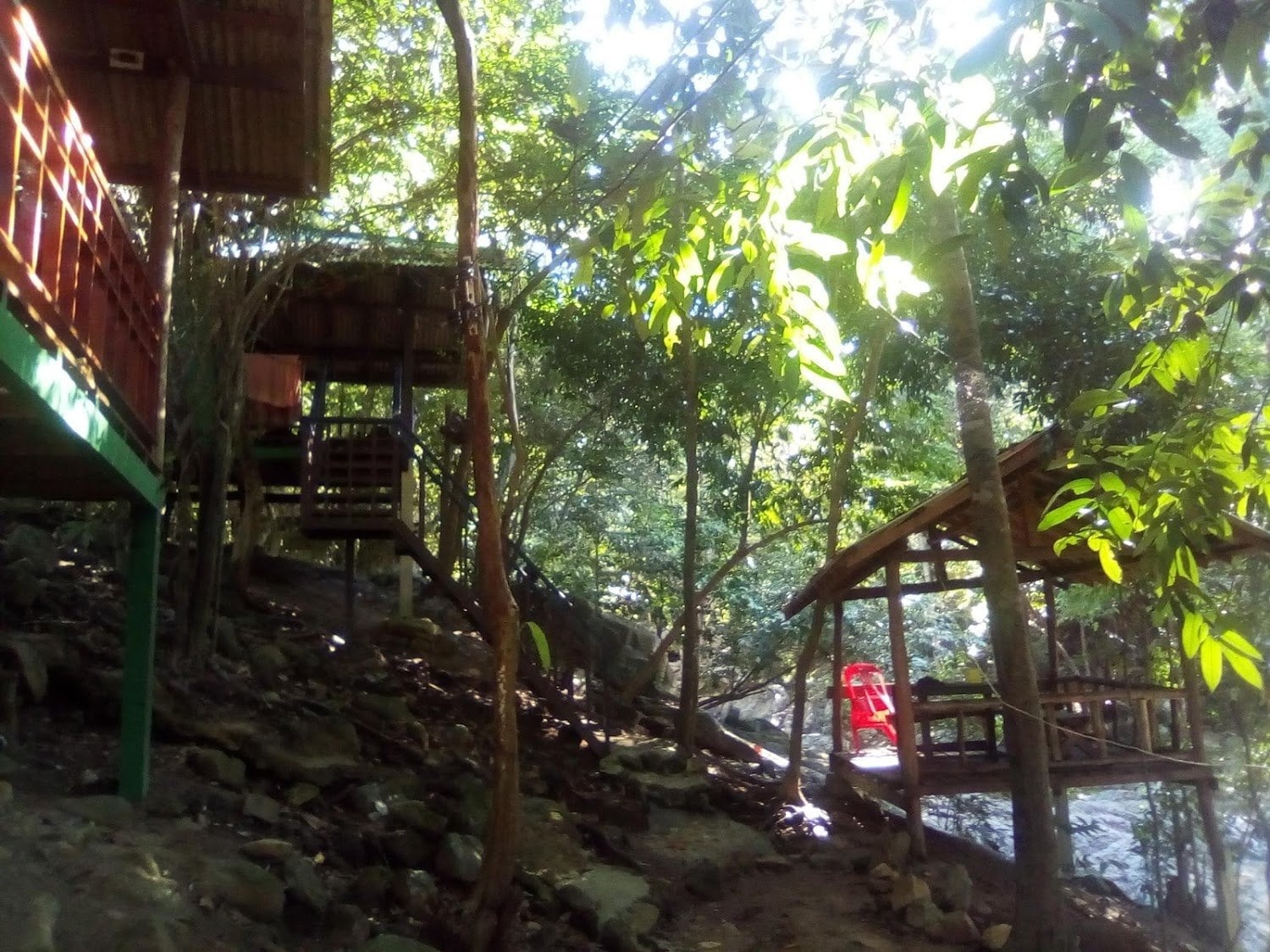 Tarzan Bar