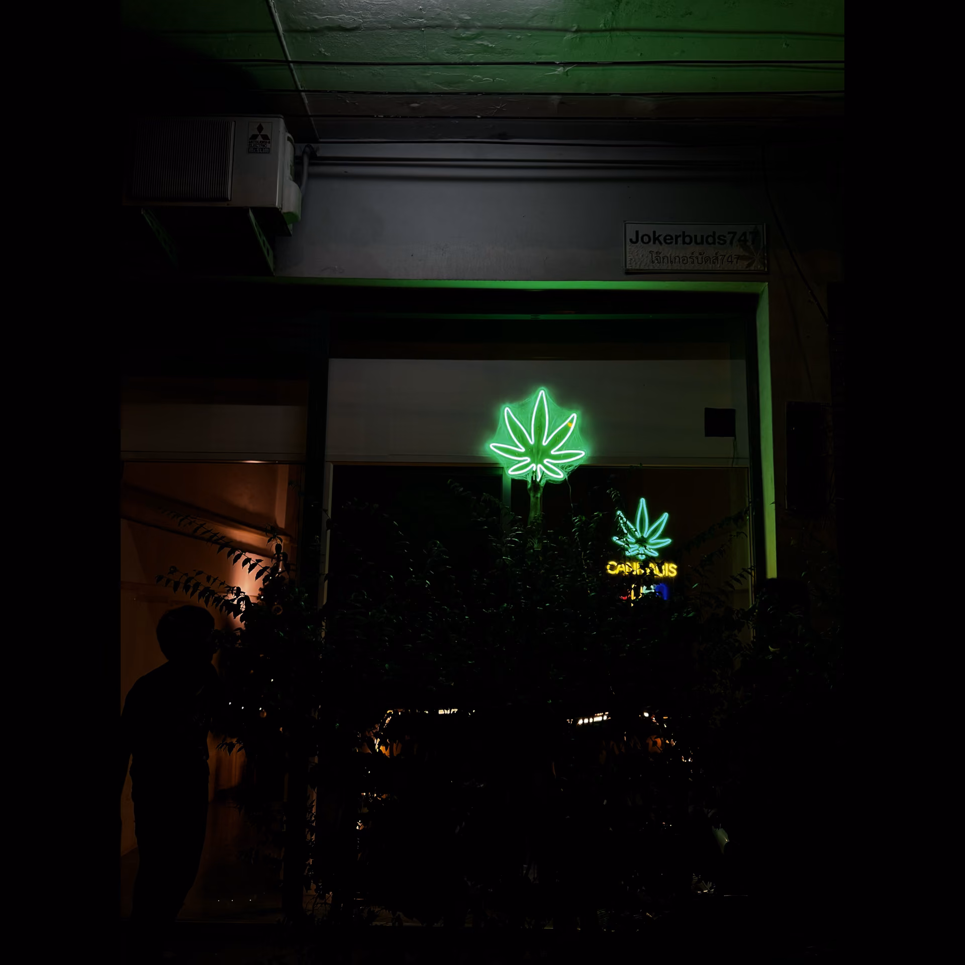 TOY Cannabis