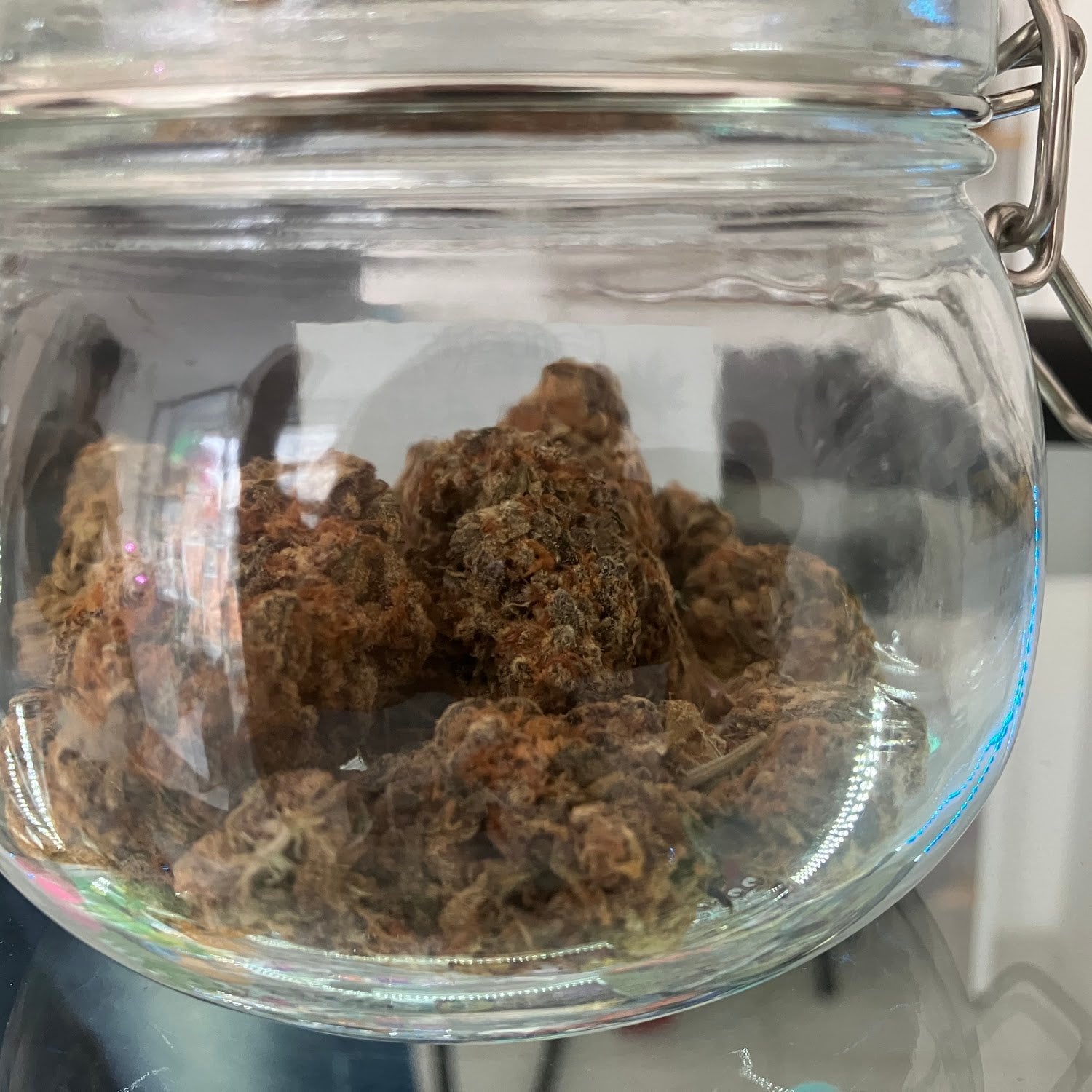 Smoking Cat Weed
