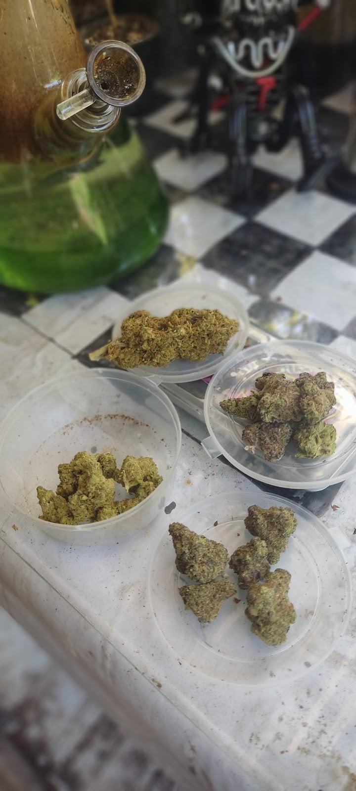 Guinness Cannabis