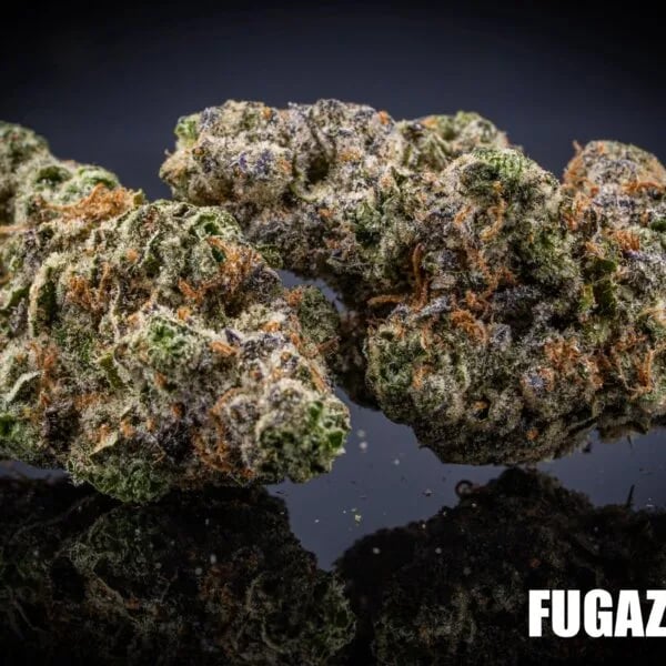 Cannabear