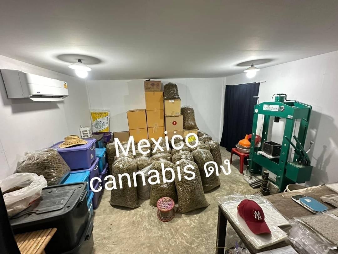 Mexico Cannabis Dong