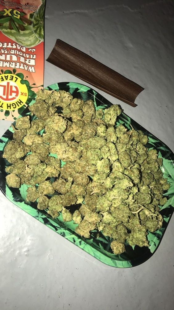 Mayan 420 Café