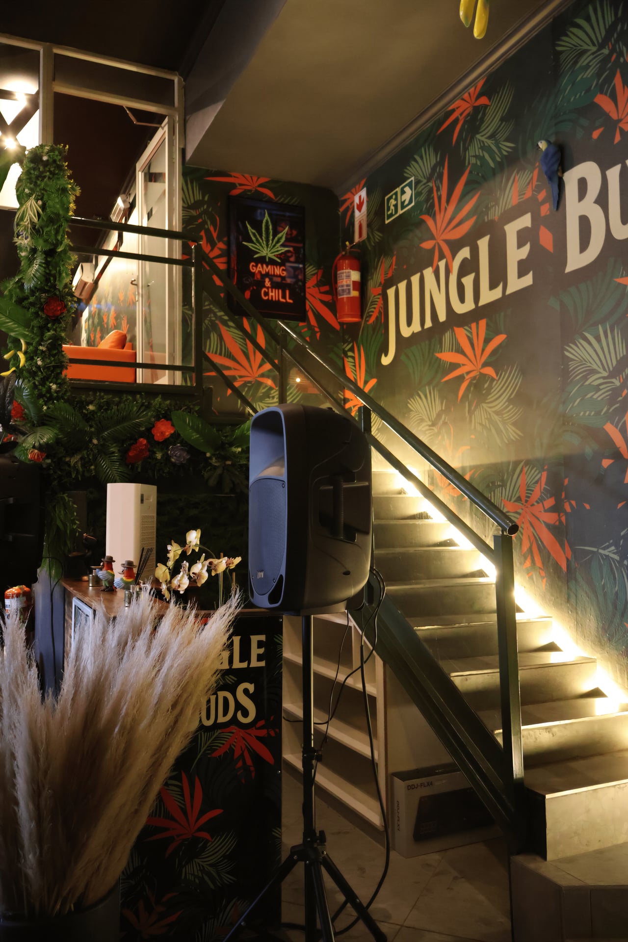 Jungle Buds