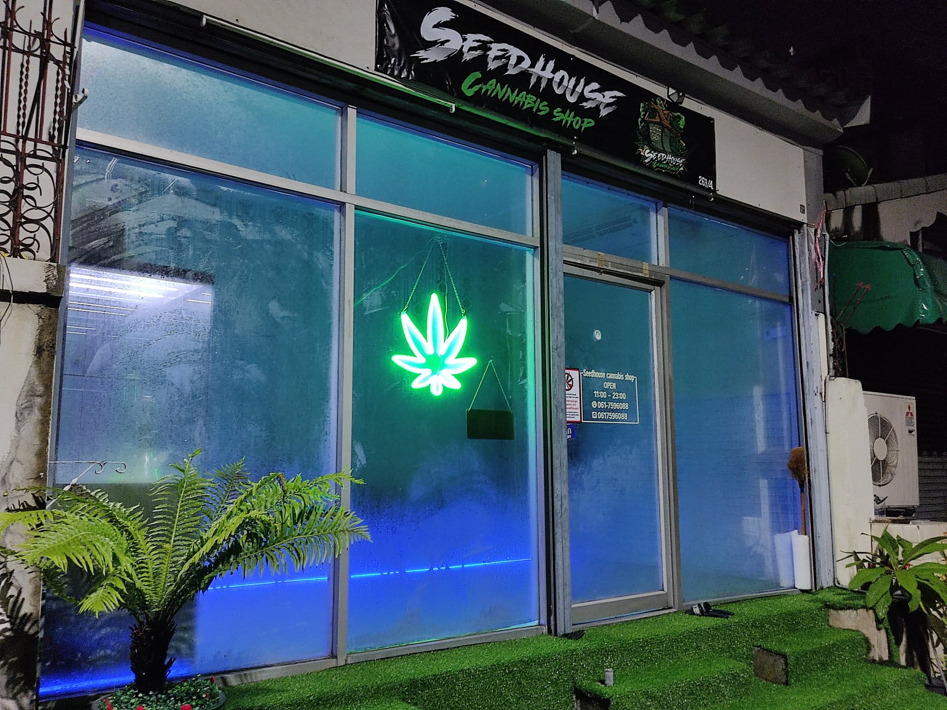 Guinness World Cannabis